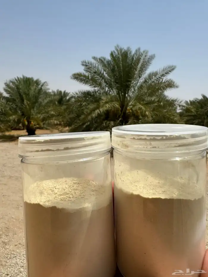لقاح نخل عضوي صافي 100   القصيم 0