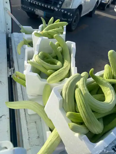 خضار مزارعنا 2