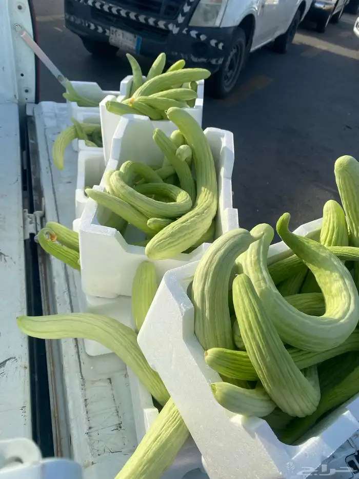 خضار مزارعنا 2