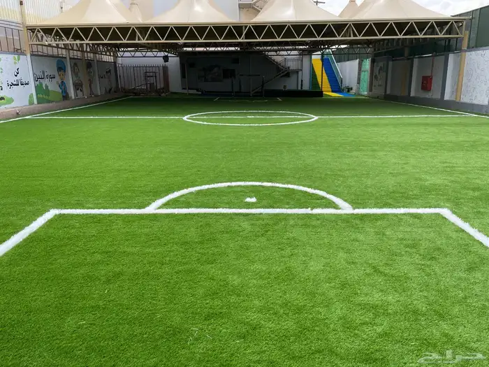 جملة عشب ملاعب وعشب البادل وعشب الحدائق 1