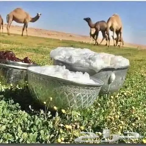 حليب أبل طااازج سكر خلفات .. توصيل داخل جدة لحد البيت 0
