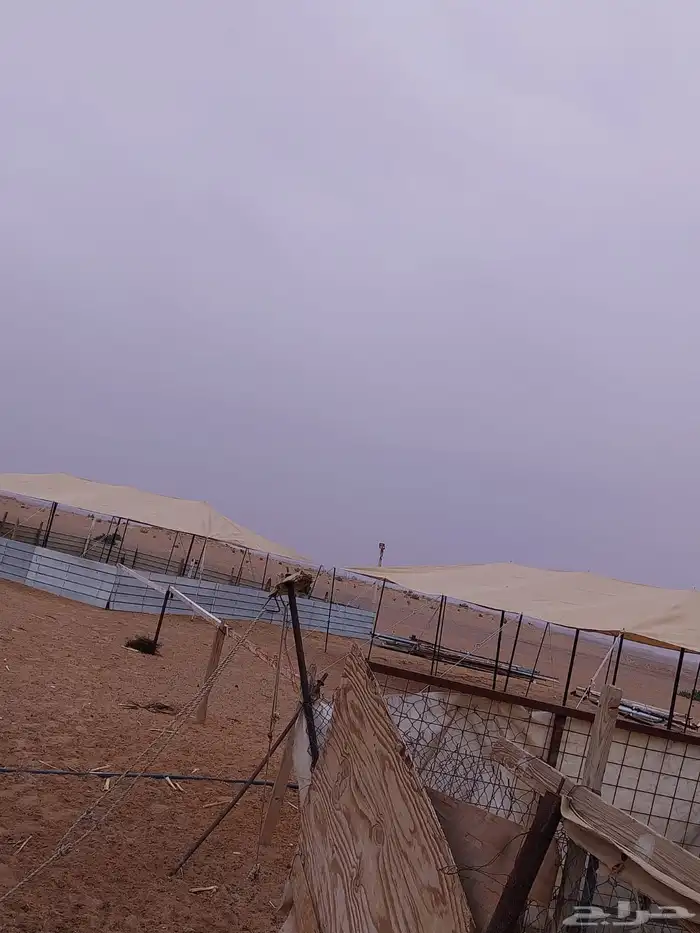 مظلات حلال 4