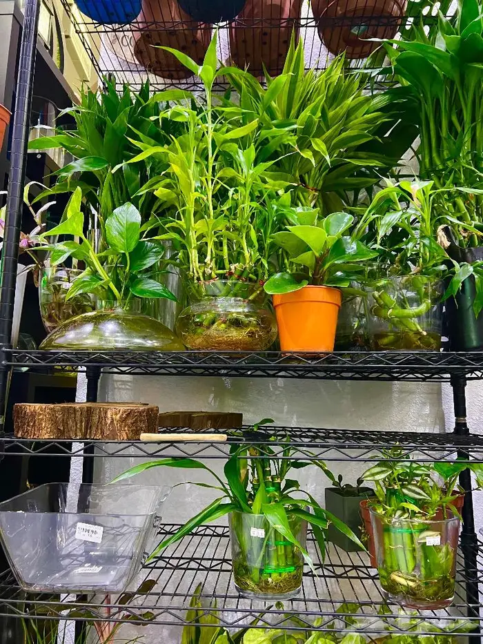 الجبيل  المنطقة الشرقية 6