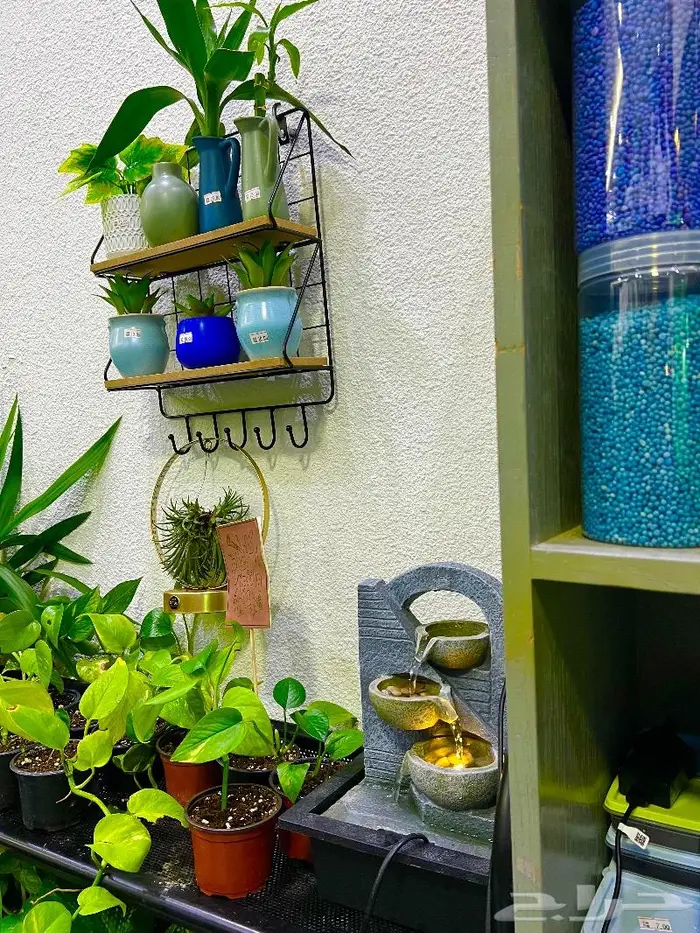 الجبيل  المنطقة الشرقية 7