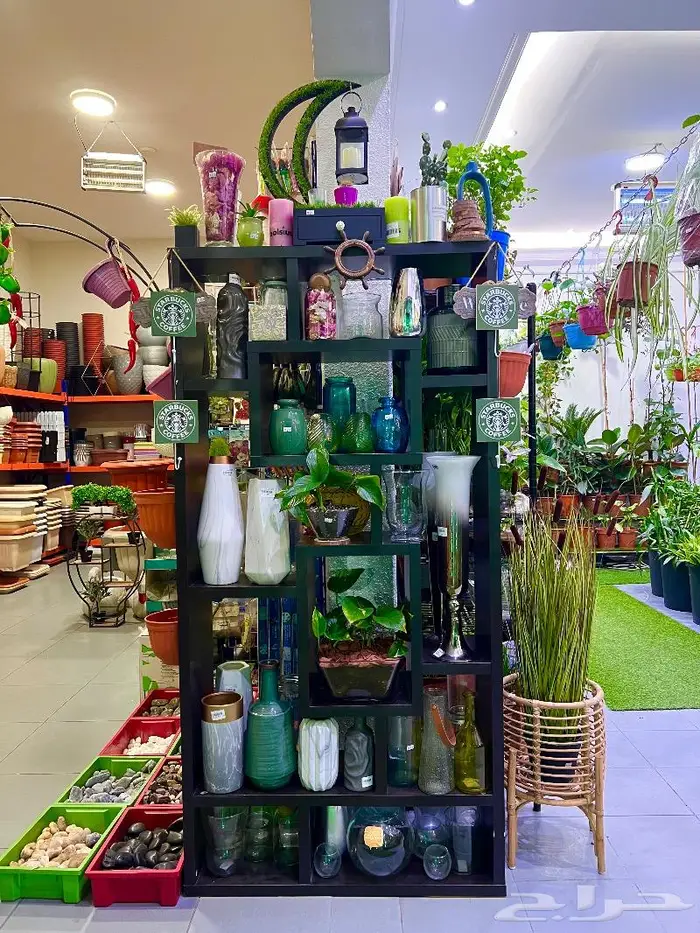 الجبيل  المنطقة الشرقية 0