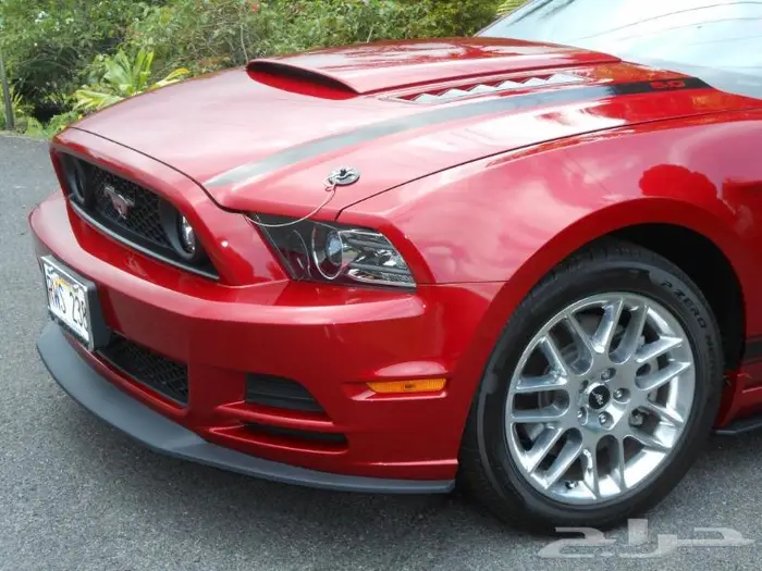 لحيه موستنج 0