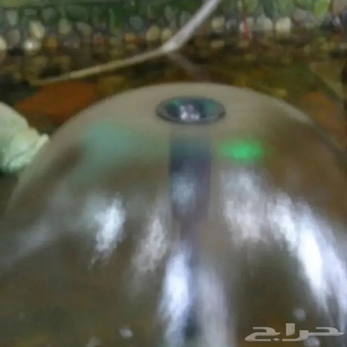 رأس نافورة حديقة شكل الفطر و أشكال أخرى للحدائق الجميلة 0