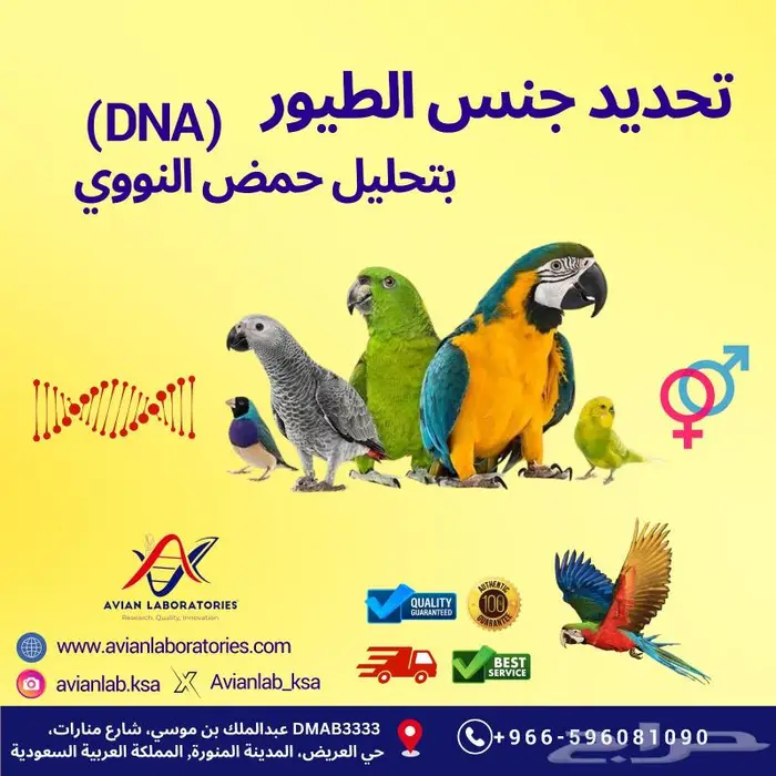تحديد جنس طيور زينة و ببغاء بتحليل الحمض النووي DNA 0