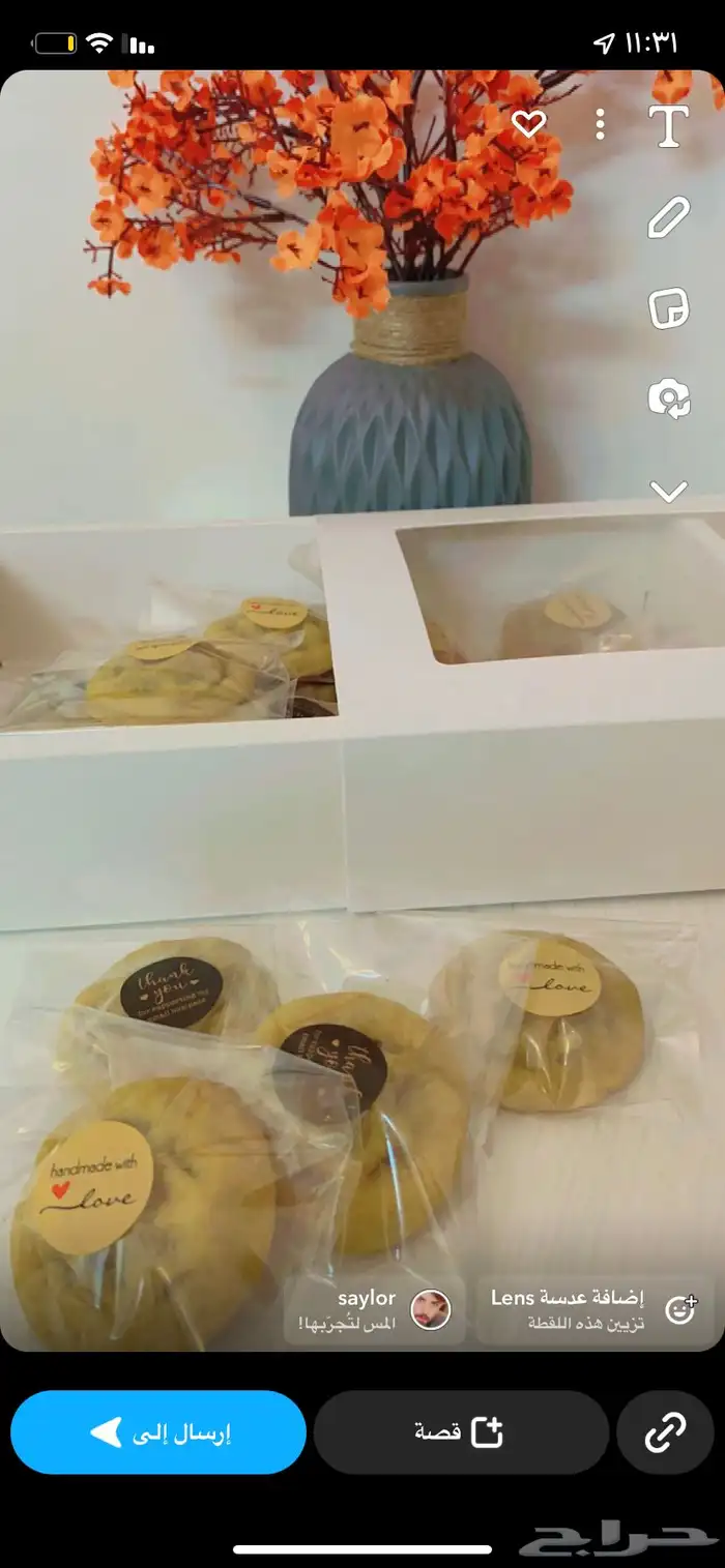 ورق عنب  ملفوف كوكيز قراقيش سمبوسه معجنات 48