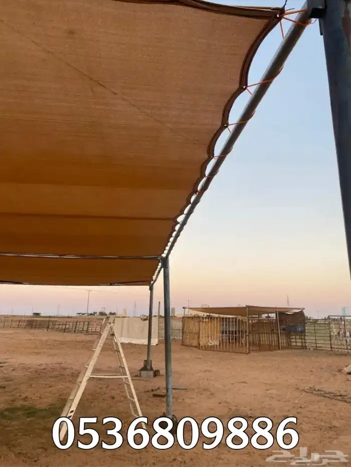 مظلات الابل او مظلات الحلال 3