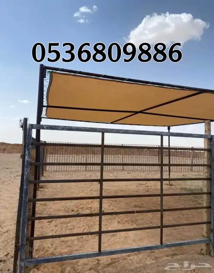 مظلات الابل او مظلات الحلال 7