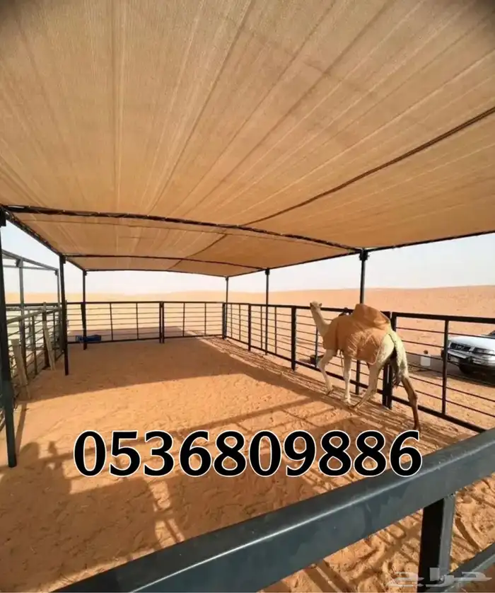 مظلات الابل او مظلات الحلال 4