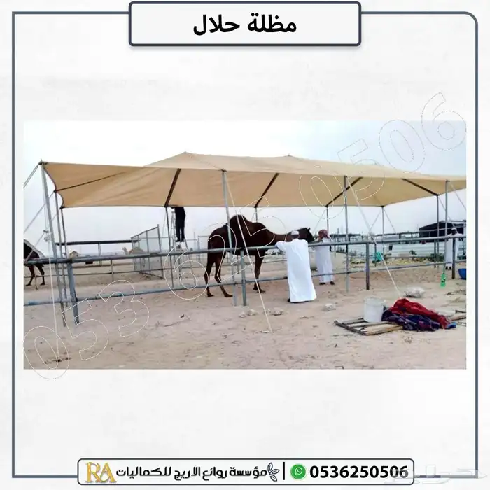 مظلة غنم شبك كوري 1