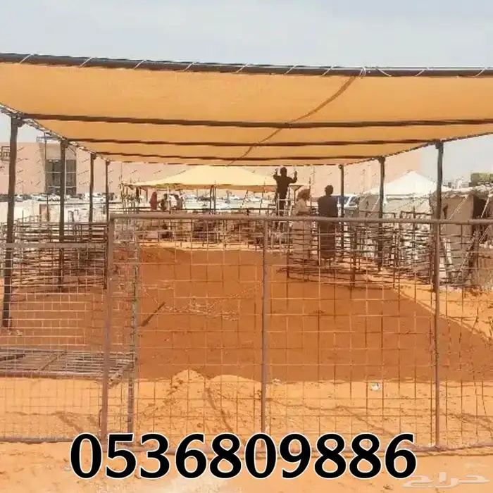 مظلات الابل او مظلات الحلال 16