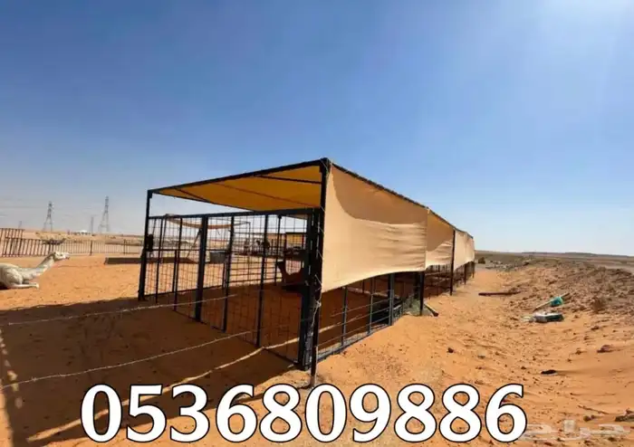 مظلات الابل او مظلات الحلال 12