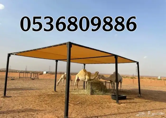 مظلات الابل او مظلات الحلال 1