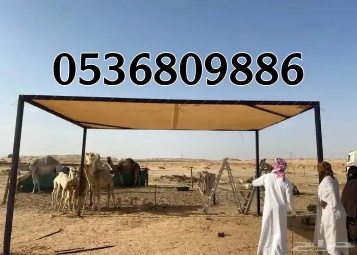 مظلات الابل او مظلات الحلال 2