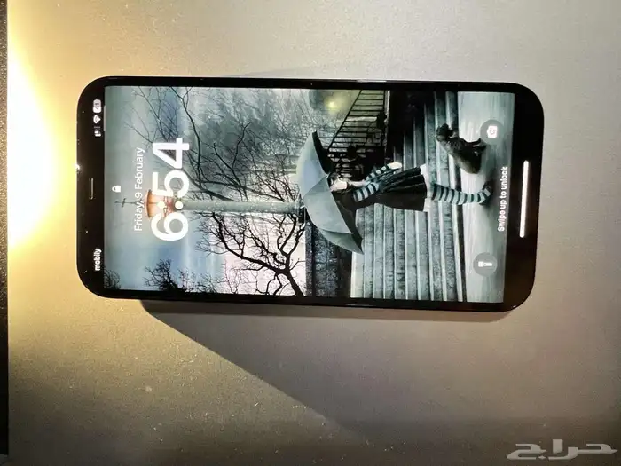 iPhone 12 Pro Max 24