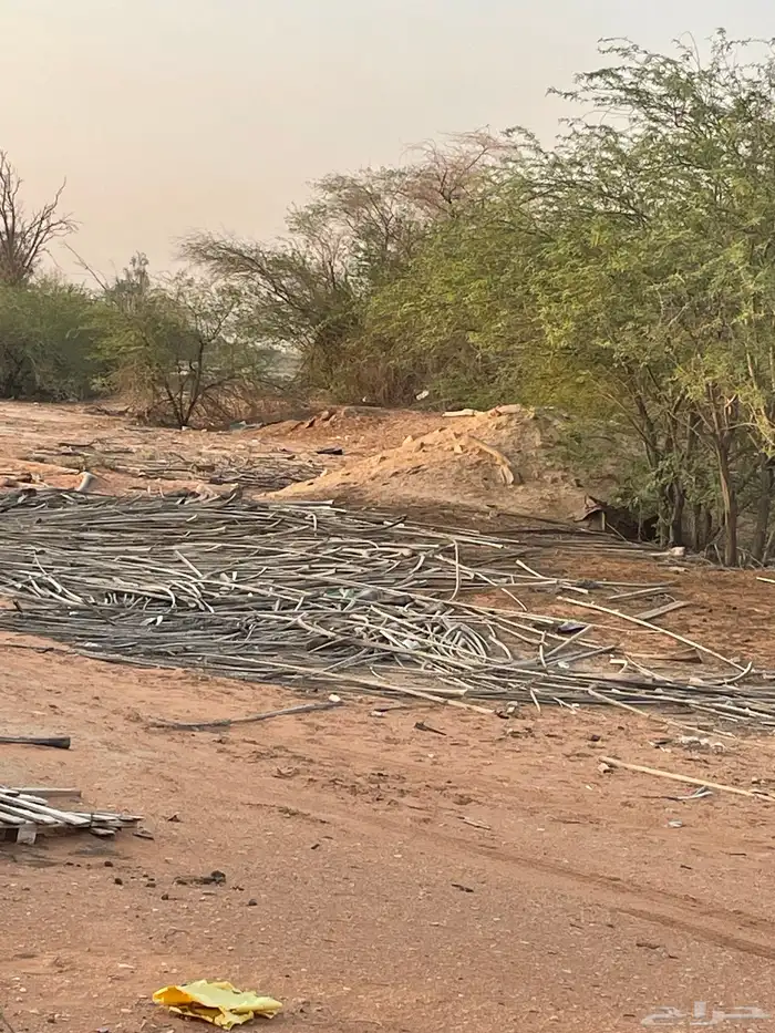 عسبان نخل او جريد 0