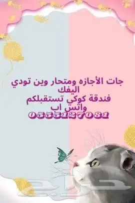 فندقه قطط 0