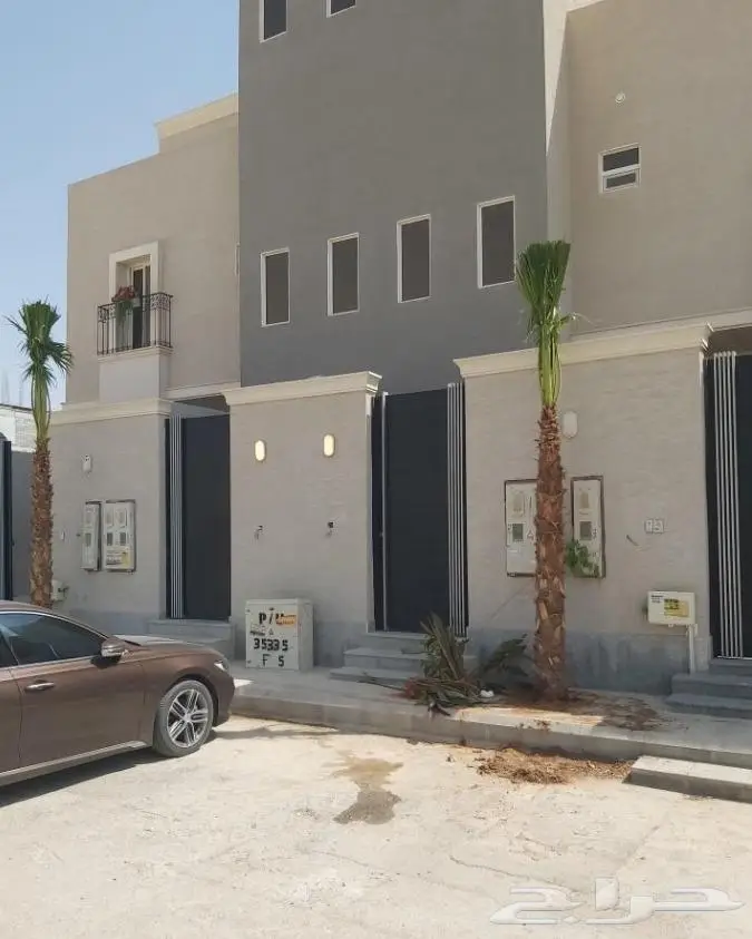 نخل واشنطن زي 11