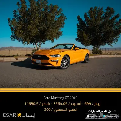 تاجير سيارات - سيارات للايجار 13