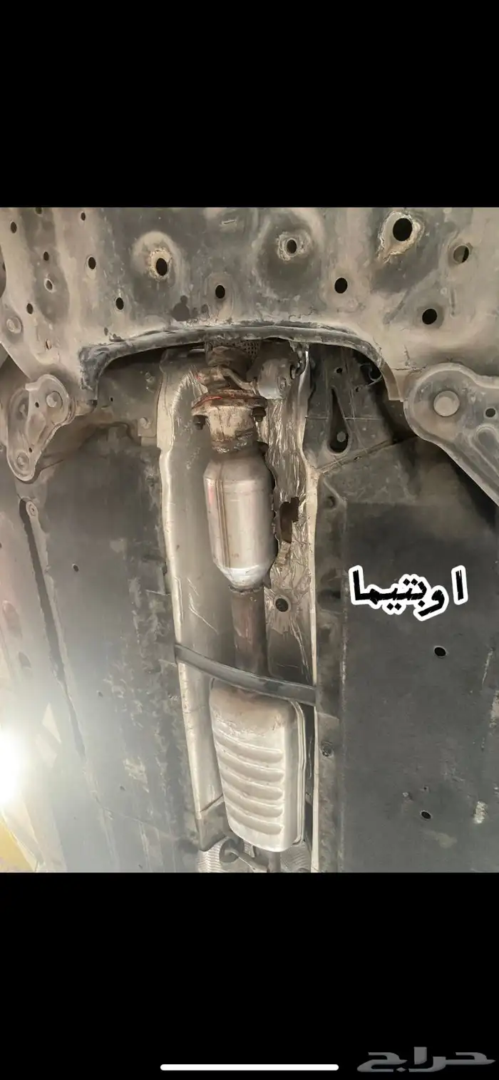 دبات تلوث 10