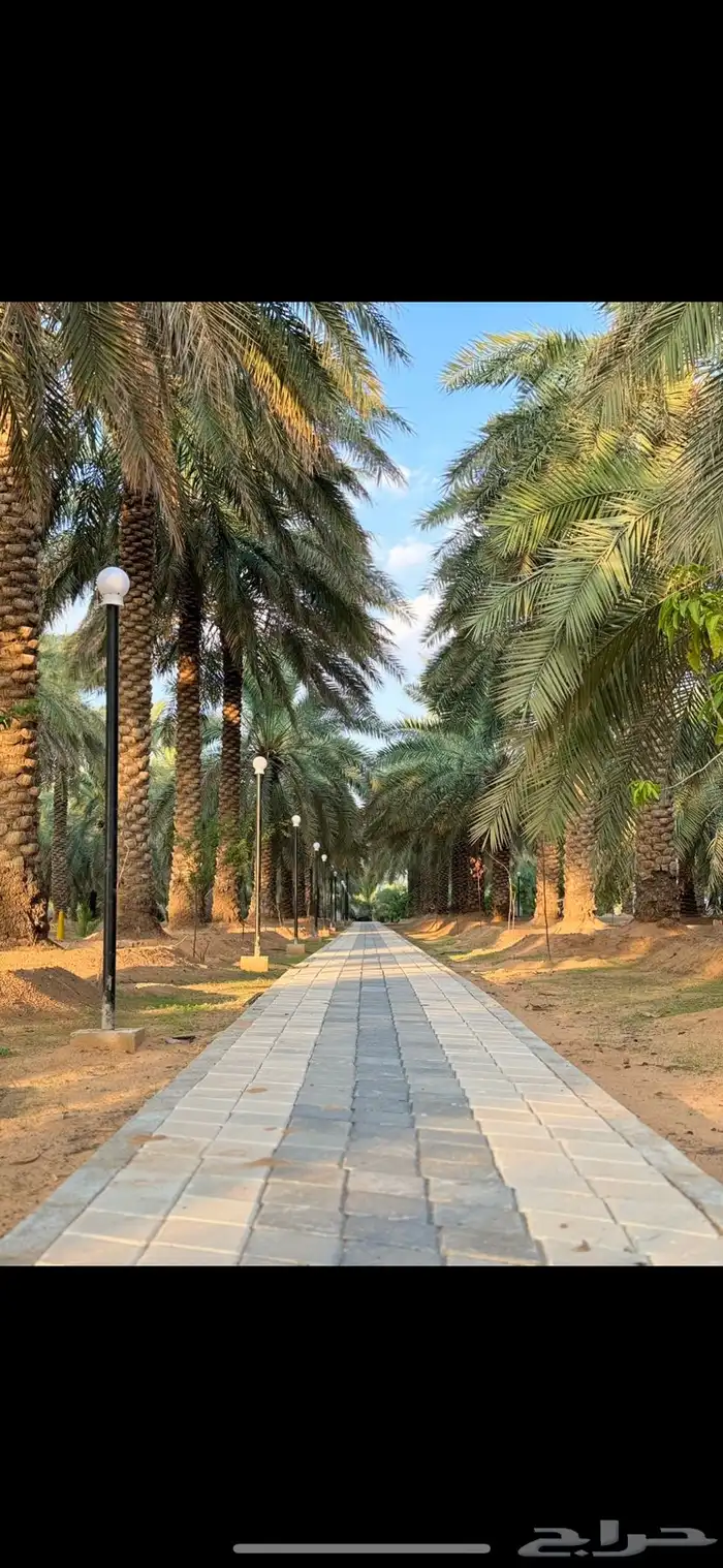 منتجع كسب للإيجار اليومي بريده 0