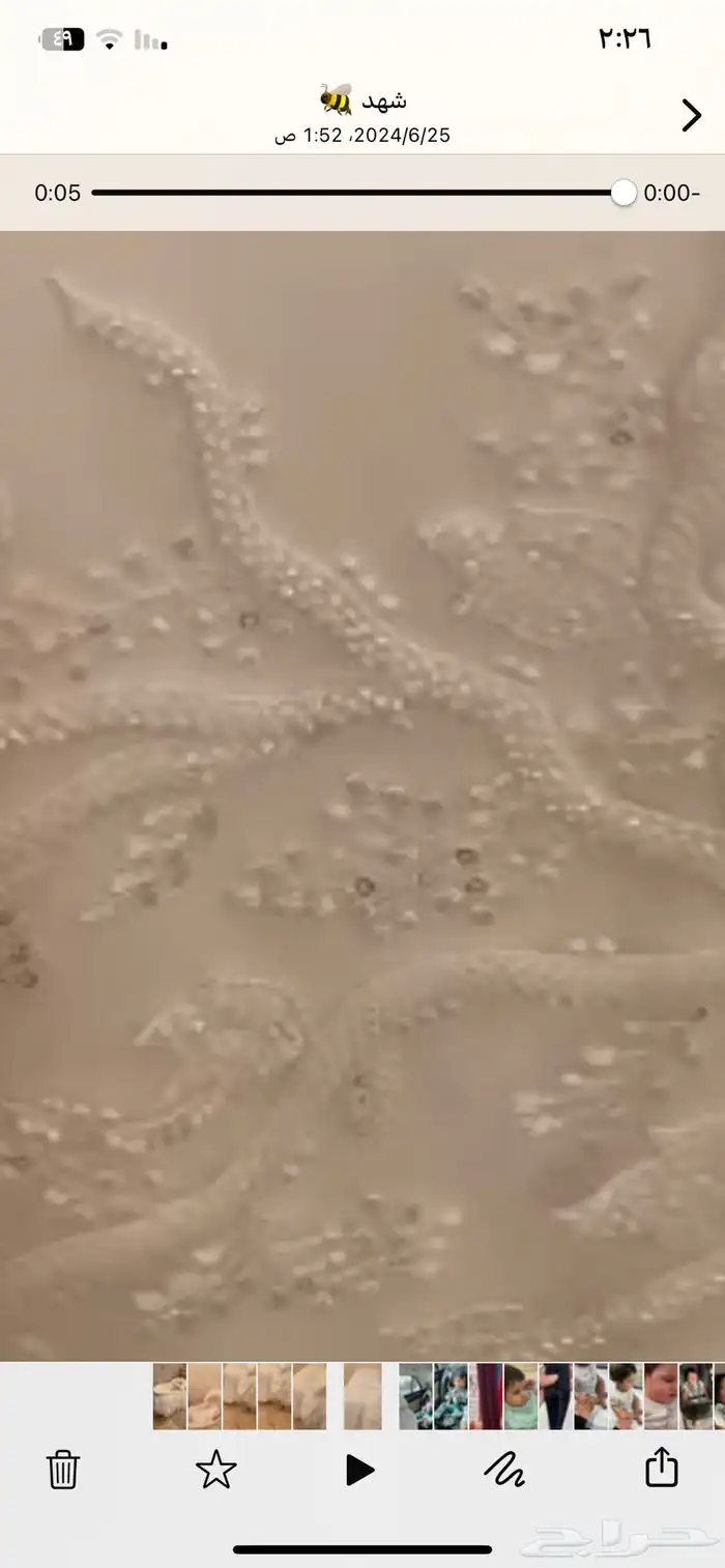 العدل   جبل النور 2