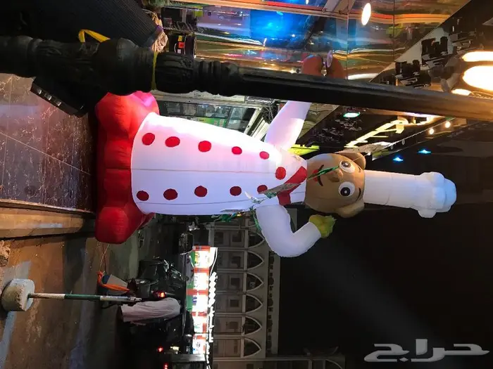 افتتاح المحلات والافراح والمناسبات 19