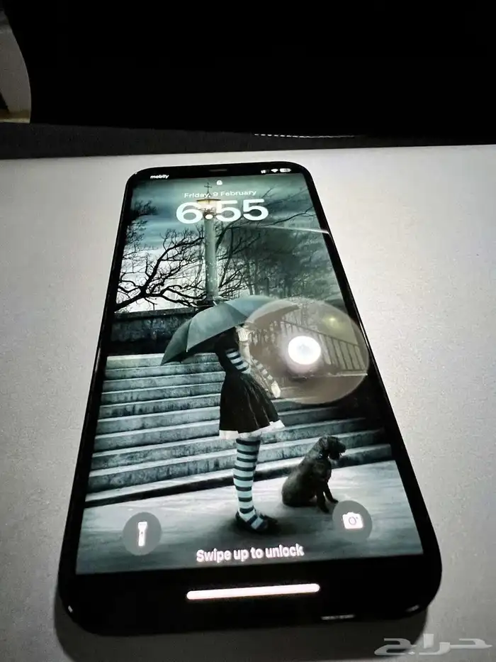 iPhone 12 Pro Max 11
