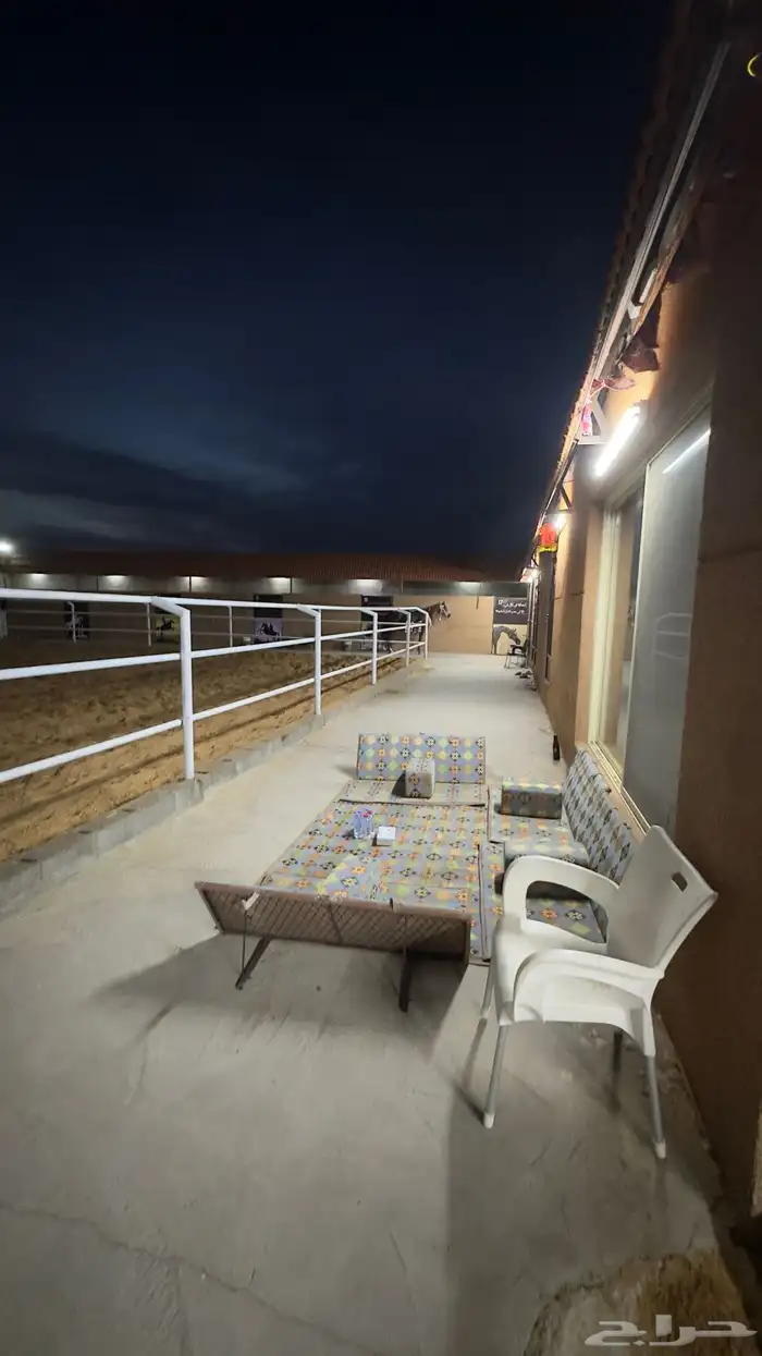 ايواء خيول اسطبلات خيول 10