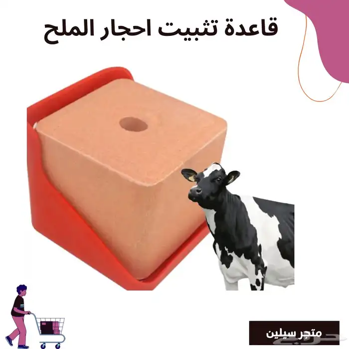 قاعدة تثبيت حجر أملاح للمواشي 0