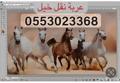 عربه لنقل الخيل داخل نجران 0