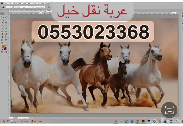 عربه لنقل الخيل داخل نجران 0