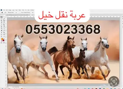 عربه لنقل الخيل داخل نجران 1
