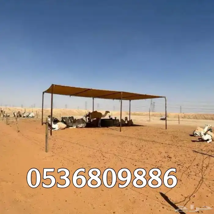 مظلات الابل او مظلات الحلال 15