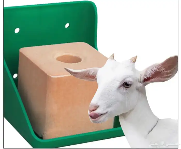 قاعدة تثبيت حجر أملاح للمواشي 5