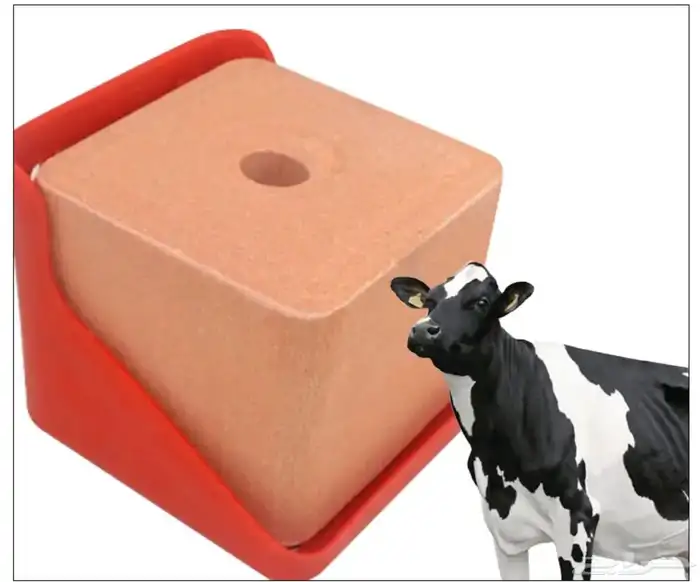 قاعدة تثبيت حجر أملاح للمواشي 4