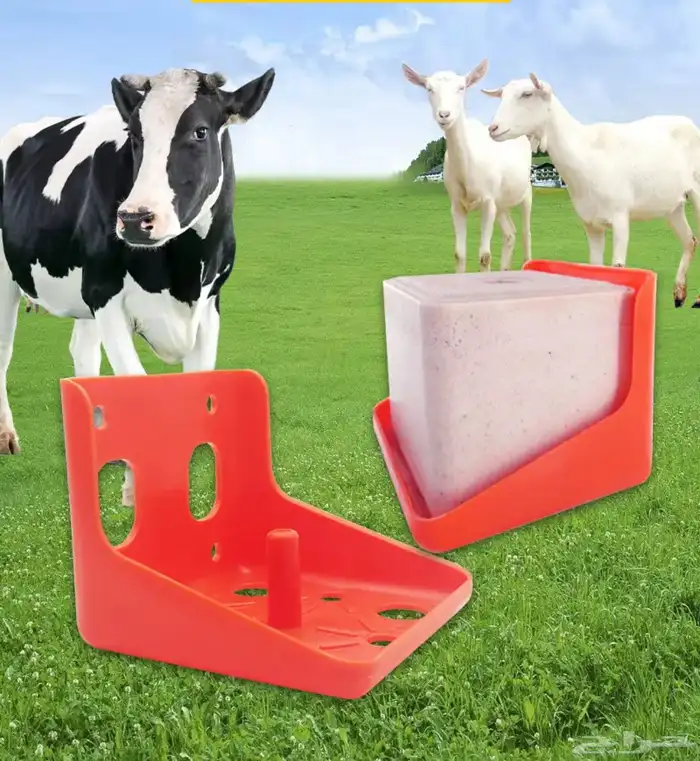 قاعدة تثبيت حجر أملاح للمواشي 8