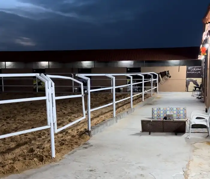 ايواء خيول اسطبلات خيول 0