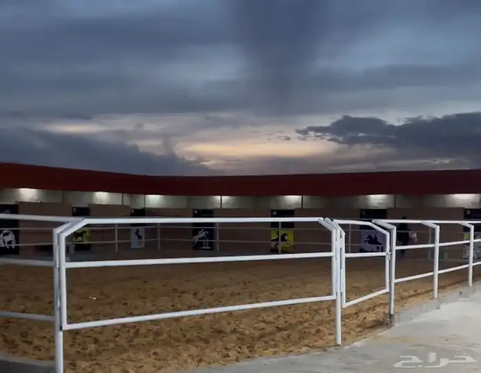 ايواء خيول اسطبلات خيول 4