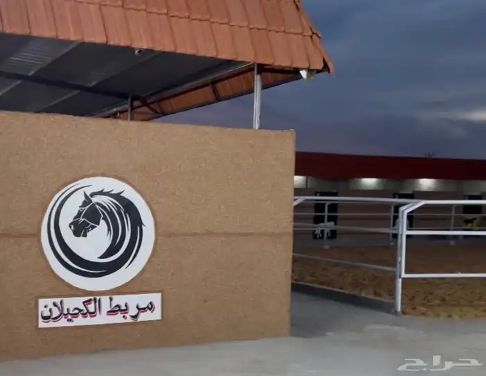ايواء خيول اسطبلات خيول 5