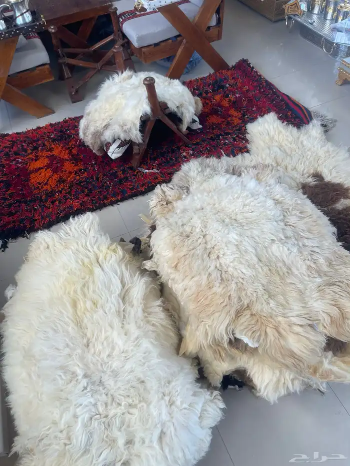 تراثيات أرض الحرير 27