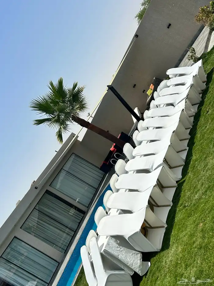 الرياض 7