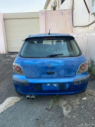 تشليح بيجو 307 1