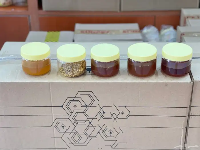 عسل سدر ملكي عصيمي دوعني اسعار طيبه جمله وقطاعي 5