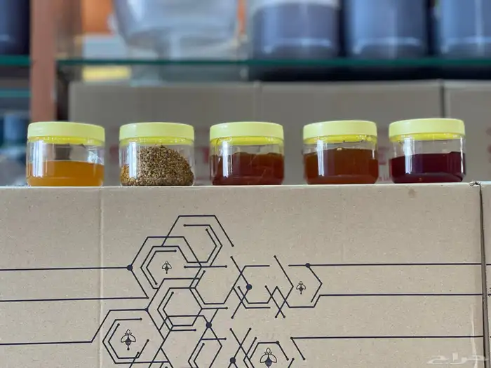 عسل سدر ملكي عصيمي دوعني اسعار طيبه جمله وقطاعي 3