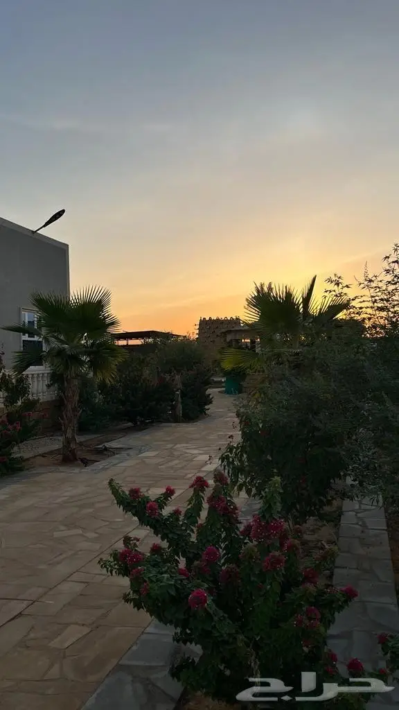 استراحه اللعاب مائيه كبيره 4