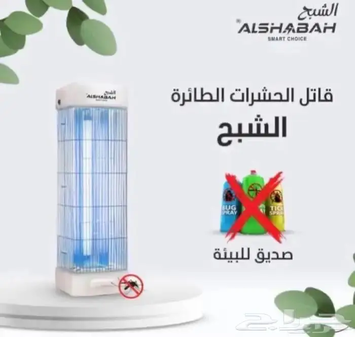 صيادة حشرات صيادة الشبح 0